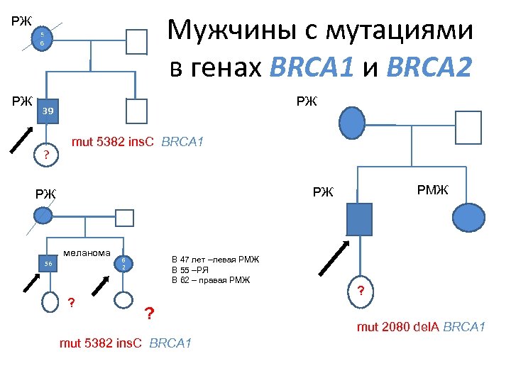 Мужчины с мутациями в генах BRCA 1 и BRCA 2 РЖ 5 6 РЖ