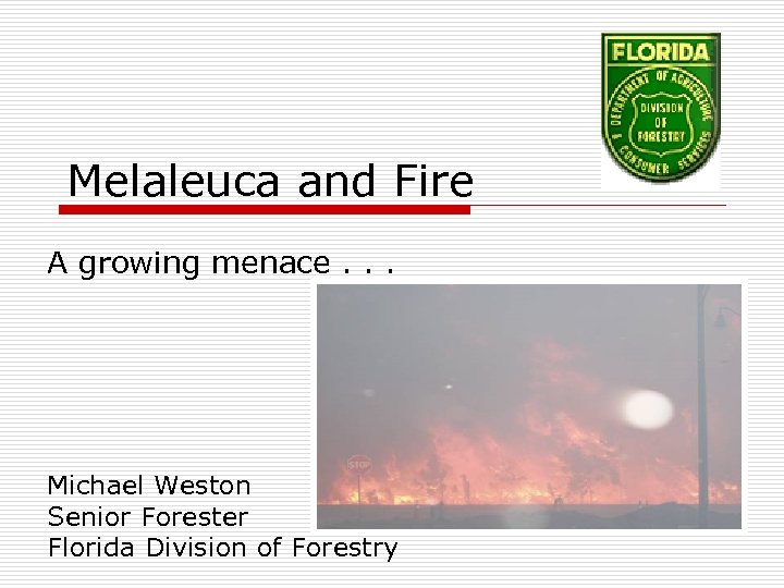 Melaleuca and Fire A growing menace. . . Michael Weston Senior Forester Florida Division