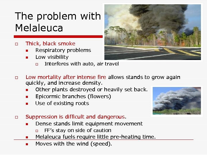 The problem with Melaleuca o Thick, black smoke n Respiratory problems n Low visibility