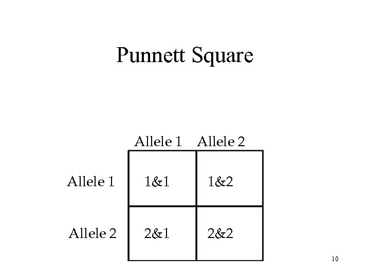 Punnett Square Allele 1 Allele 2 Allele 1 1&2 Allele 2 2&1 2&2 10