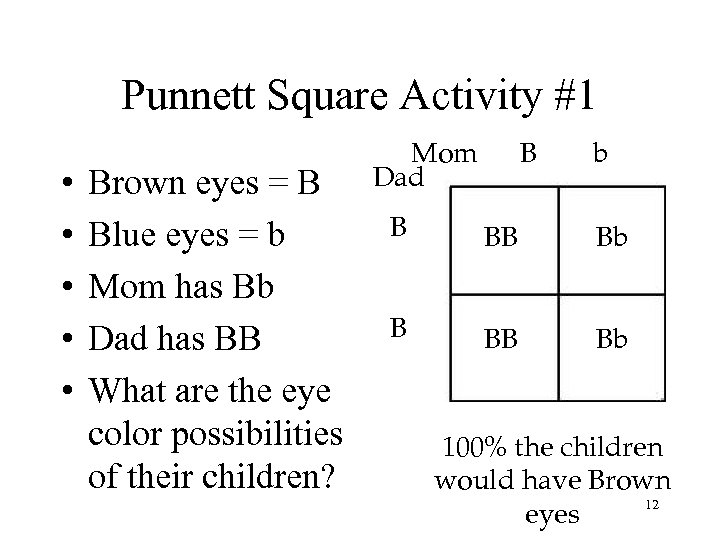 Punnett Square Activity #1 • • • Brown eyes = B Blue eyes =