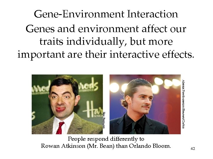 Gene-Environment Interaction Genes and environment affect our traits individually, but more important are their