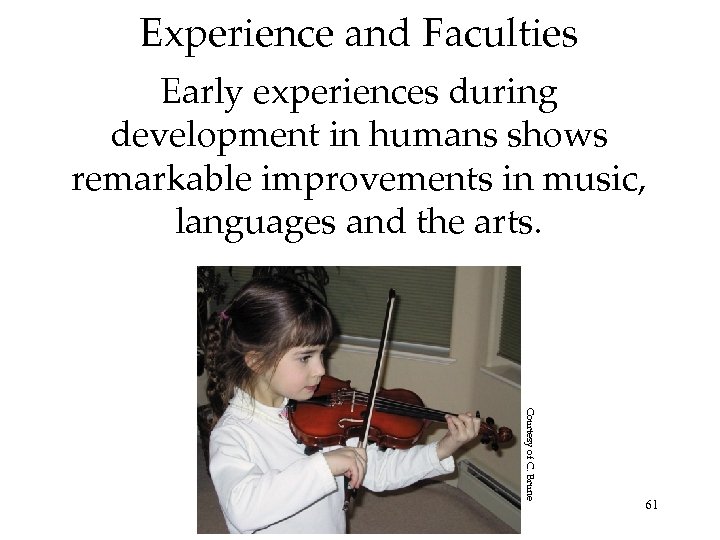 Experience and Faculties Early experiences during development in humans shows remarkable improvements in music,