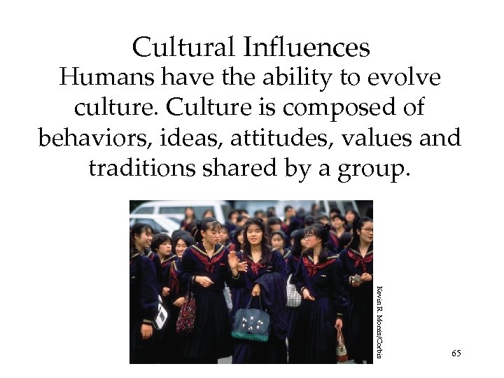 Cultural Influences Humans have the ability to evolve culture. Culture is composed of behaviors,