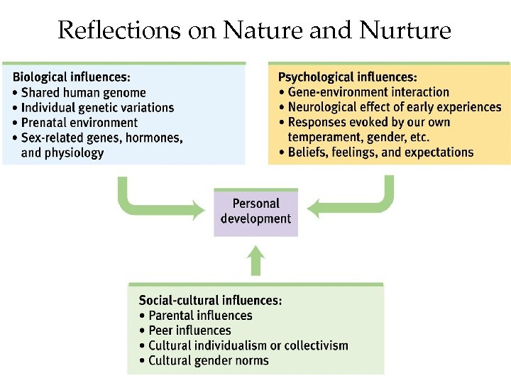 Reflections on Nature and Nurture 82 