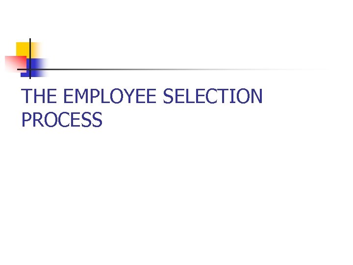 THE EMPLOYEE SELECTION PROCESS 