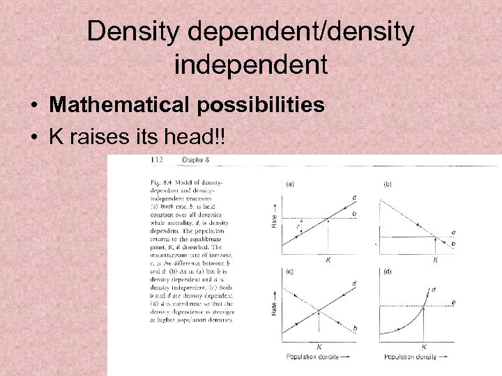 Density dependent/density independent • Mathematical possibilities • K raises its head!! 