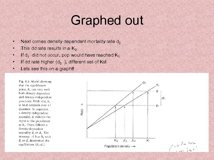Graphed out • • • Next comes density dependent mortality rate d 2 This
