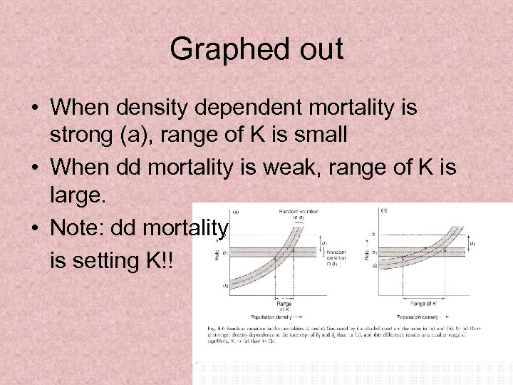 Graphed out • When density dependent mortality is strong (a), range of K is