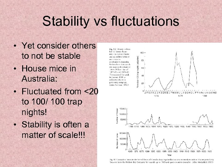 Stability vs fluctuations • Yet consider others to not be stable • House mice
