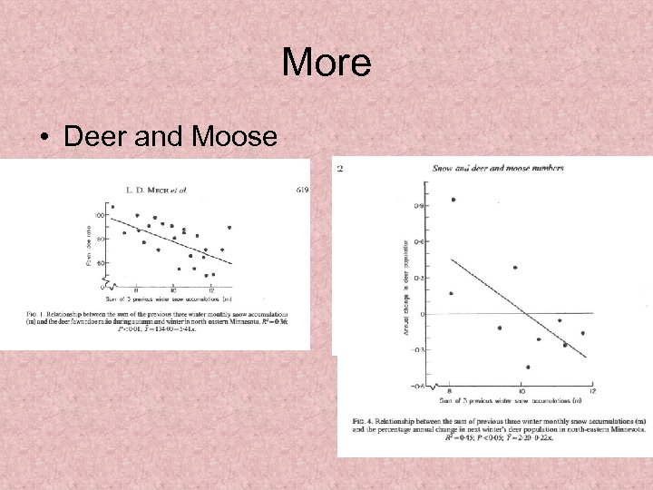 More • Deer and Moose 