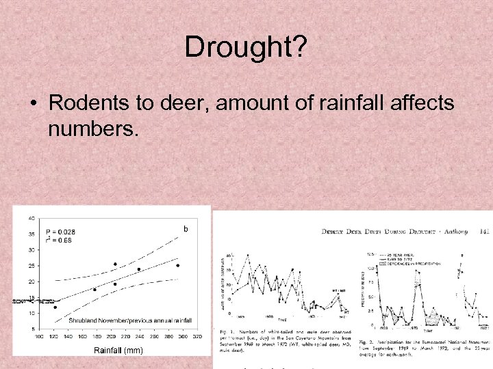 Drought? • Rodents to deer, amount of rainfall affects numbers. 