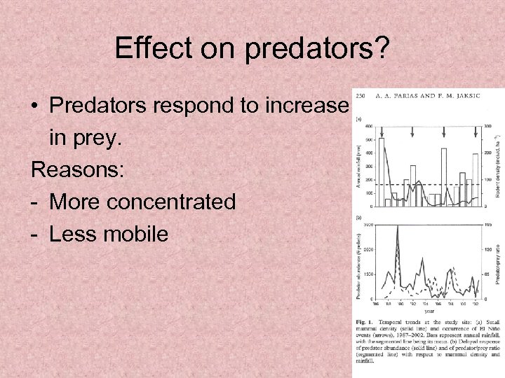 Effect on predators? • Predators respond to increase in prey. Reasons: - More concentrated