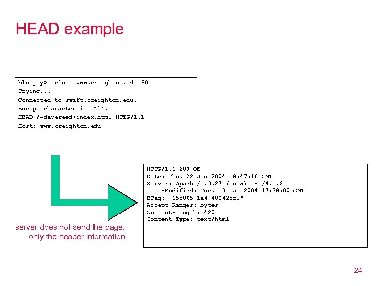 HEAD example bluejay> telnet www. creighton. edu 80 Trying. . . Connected to swift.