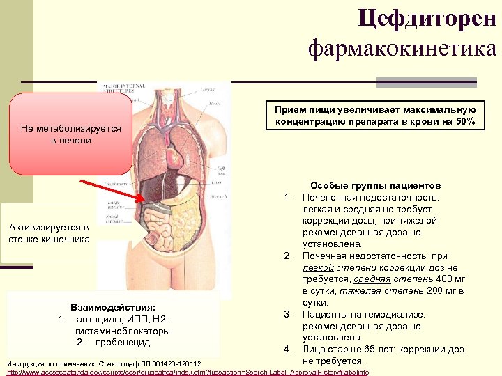 Цефдиторен фармакокинетика Не метаболизируется в печени Прием пищи увеличивает максимальную концентрацию препарата в крови
