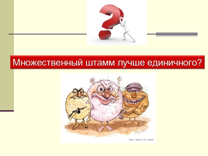 Множественный штамм лучше единичного? 