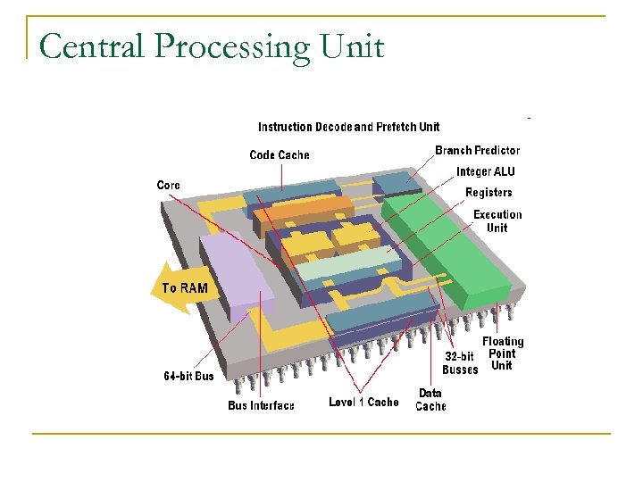 Central Processing Unit 