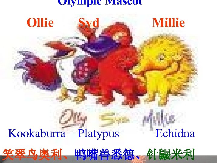 Olympic Mascot Ollie Kookaburra Syd Millie Platypus Echidna 笑翠鸟奥利、鸭嘴兽悉德、针鼹米利 