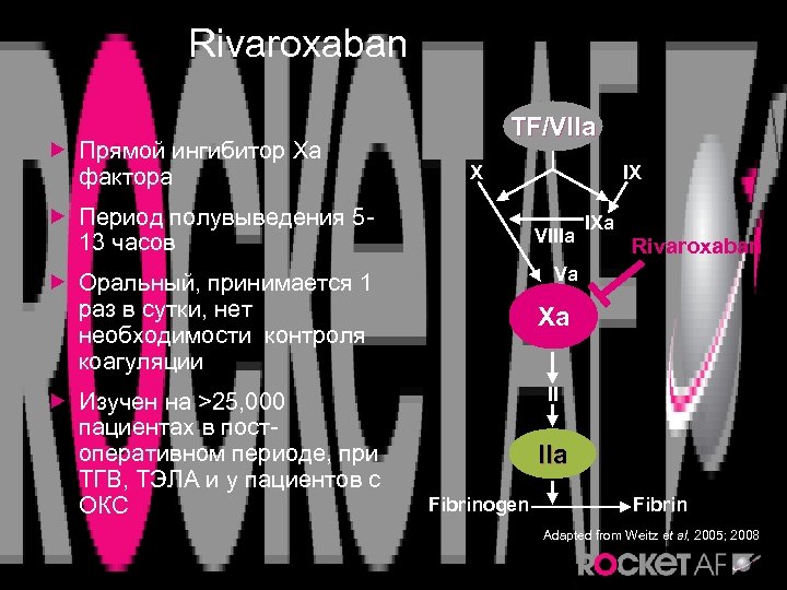 Rivaroxaban Прямой ингибитор Xa фактора TF/VIIa X Период полувыведения 513 часов VIIIa IXa Rivaroxaban