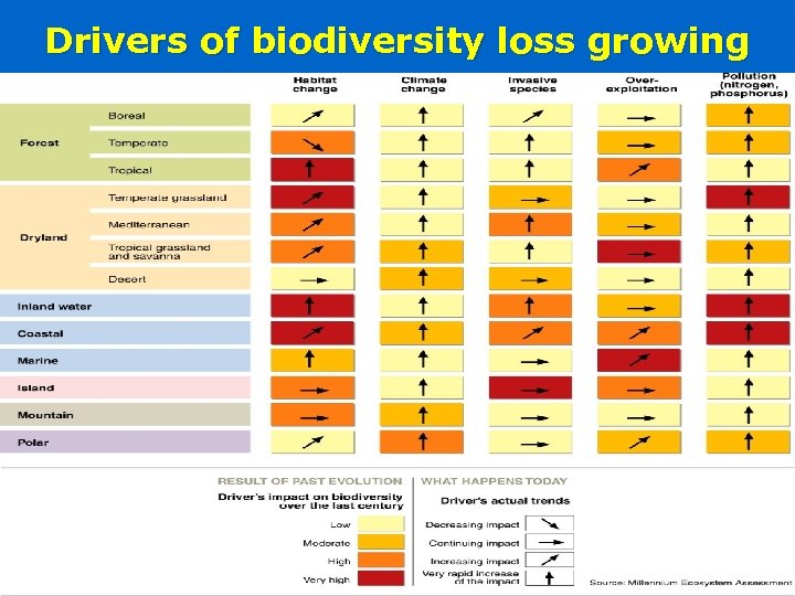 Drivers of biodiversity loss growing 