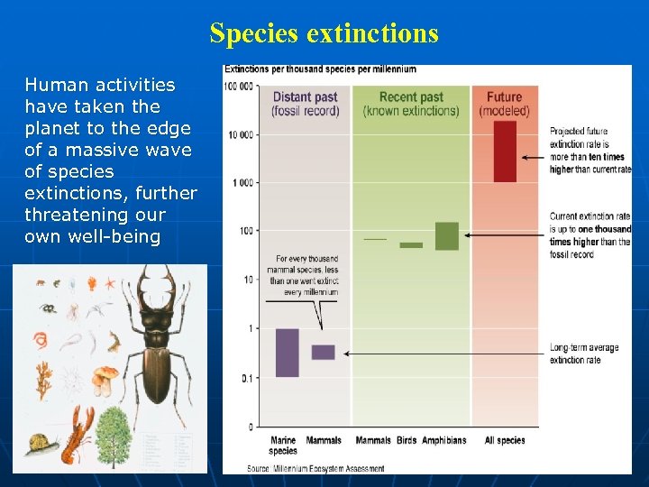 Species extinctions Human activities have taken the planet to the edge of a massive