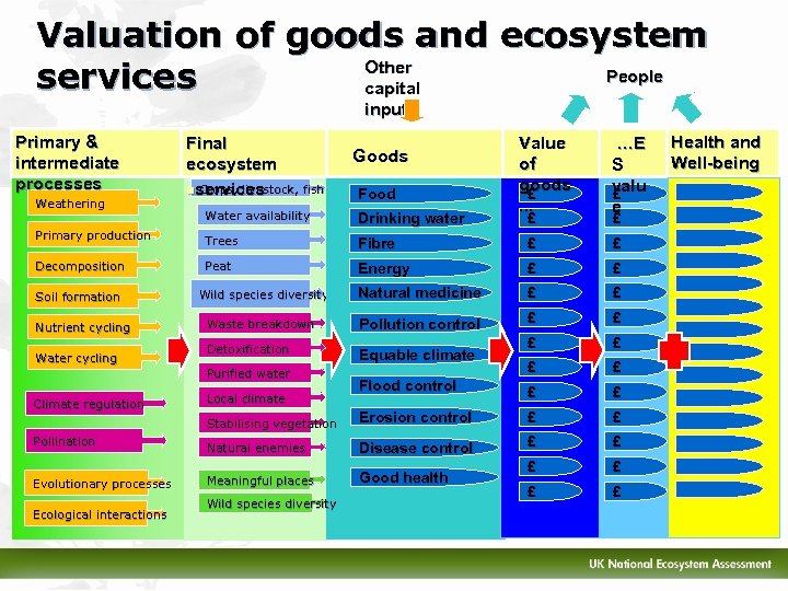 Valuation of goods and ecosystem Other People services capital inputs Primary & intermediate processes