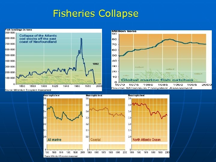 Fisheries Collapse 