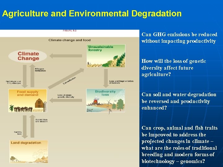 Agriculture and Environmental Degradation Can GHG emissions be reduced without impacting productivity Sub-title here