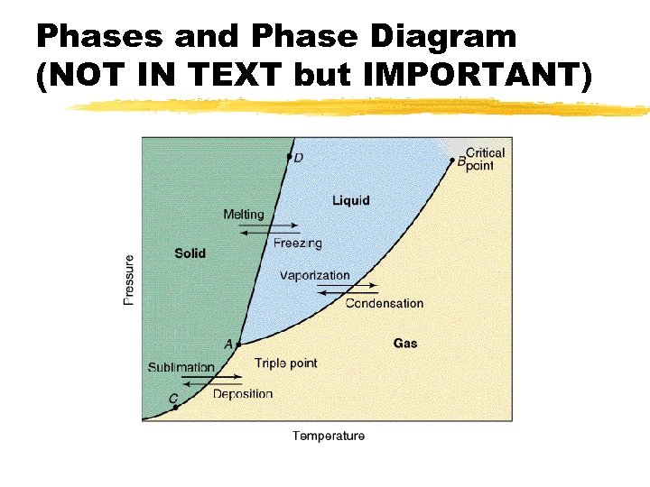 Phases and Phase Diagram (NOT IN TEXT but IMPORTANT) 