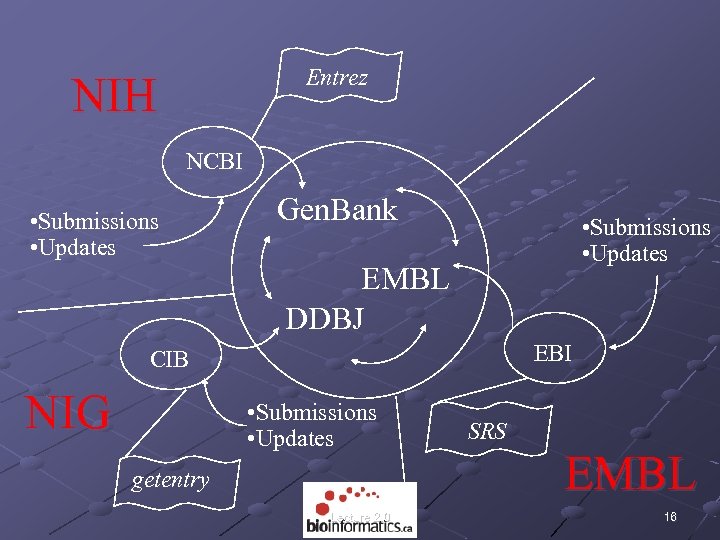 Entrez NIH NCBI • Submissions • Updates Gen. Bank • Submissions • Updates EMBL