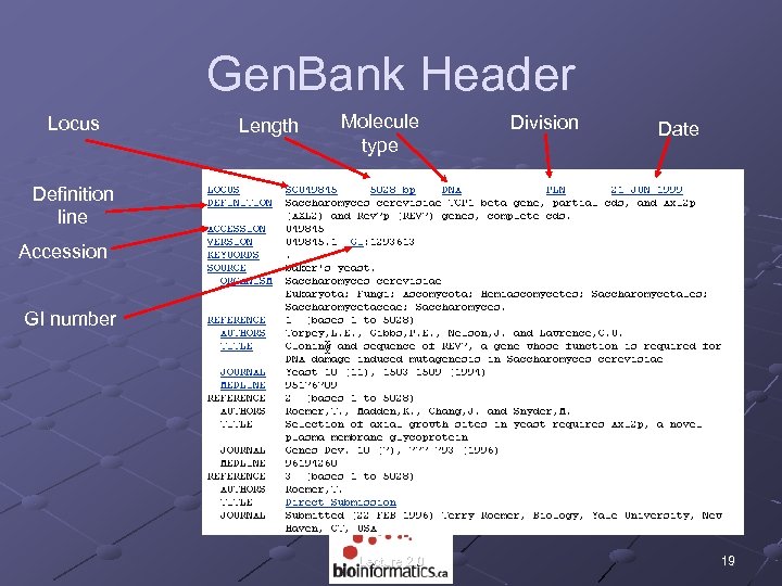 Gen. Bank Header Locus Length Molecule type Division Date Definition line Accession GI number