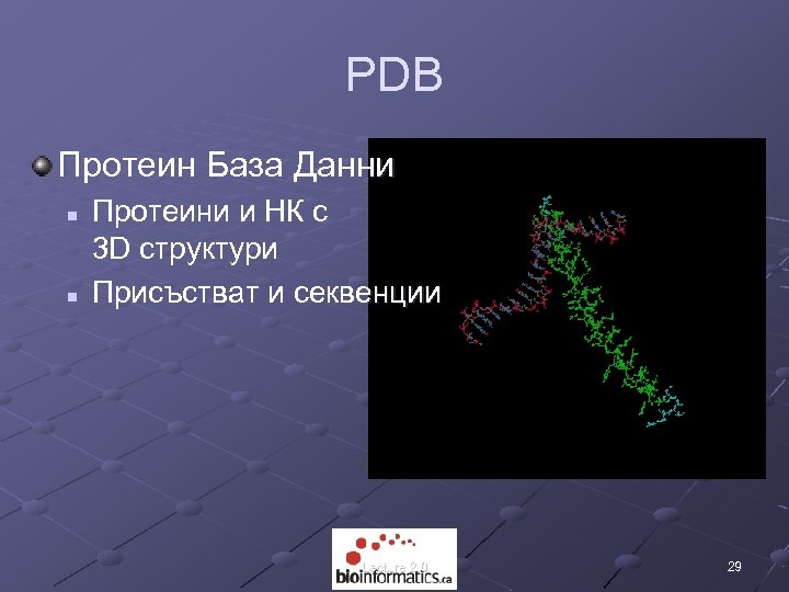 PDB Протеин База Данни n n Протеини и НК с 3 D структури Присъстват