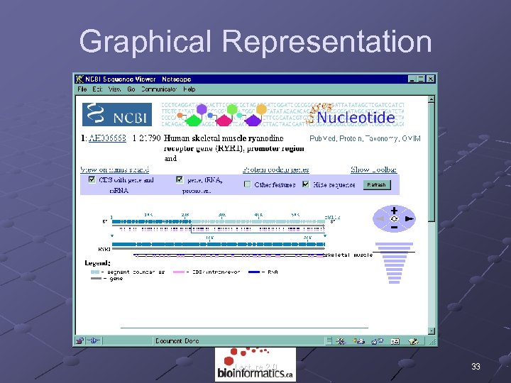 Graphical Representation Lecture 2. 0 33 