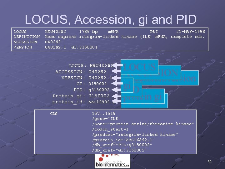 LOCUS, Accession, gi and PID LOCUS DEFINITION ACCESSION VERSION HSU 40282 1789 bp m.