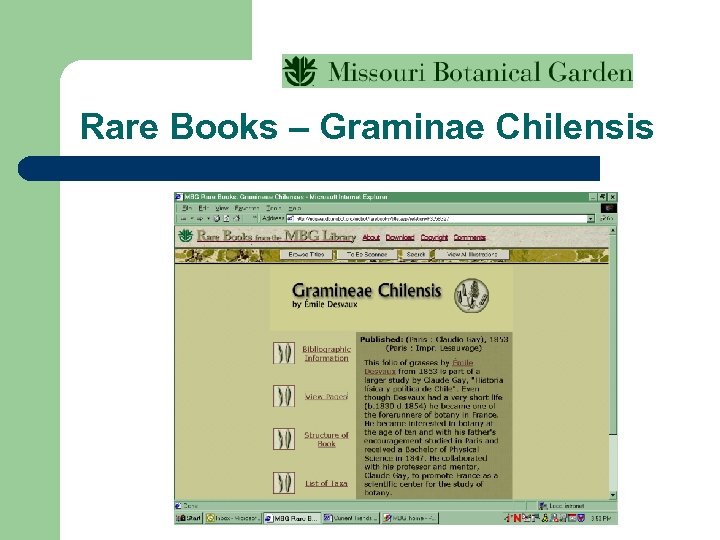 Rare Books – Graminae Chilensis 