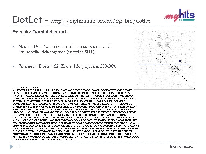 Dot. Let - http: //myhits. isb-sib. ch/cgi-bin/dotlet Esempio: Domini Ripetuti. Matrice Dot Plot calcolata