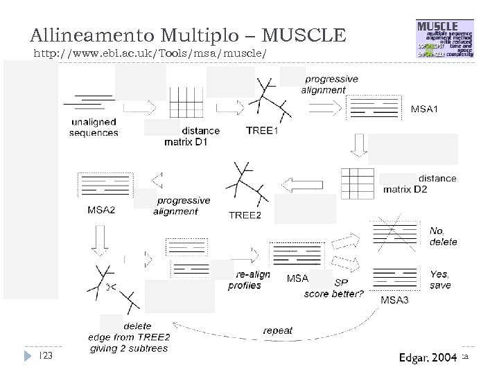 Allineamento Multiplo – MUSCLE http: //www. ebi. ac. uk/Tools/msa/muscle/ Stage 1 Stage 2 Stage