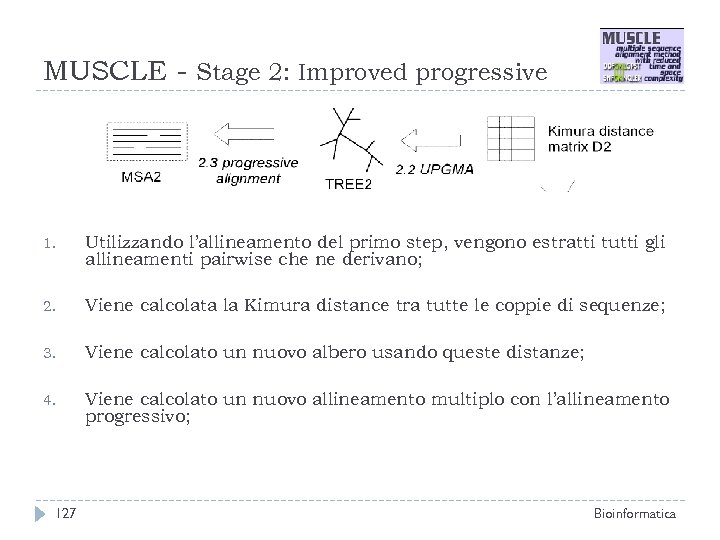 MUSCLE - Stage 2: Improved progressive 1. Utilizzando l’allineamento del primo step, vengono estratti