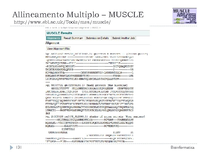 Allineamento Multiplo – MUSCLE http: //www. ebi. ac. uk/Tools/msa/muscle/ 131 Bioinformatica 