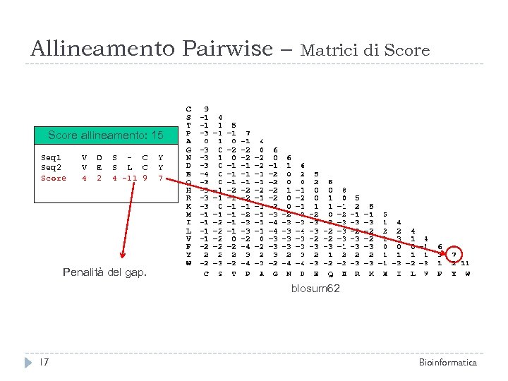 Allineamento Pairwise – Matrici di Score allineamento: 15 Seq 1 Seq 2 Score V