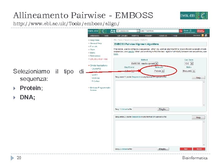 Allineamento Pairwise - EMBOSS http: //www. ebi. ac. uk/Tools/emboss/align/ Selezioniamo il tipo di sequenza: