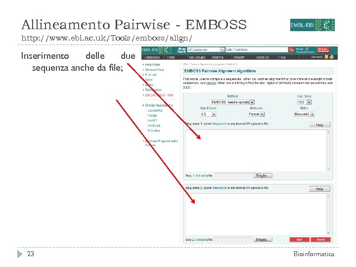Allineamento Pairwise - EMBOSS http: //www. ebi. ac. uk/Tools/emboss/align/ Inserimento delle due sequenza anche