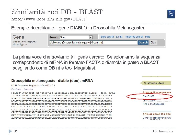 Similarità nei DB - BLAST http: //www. ncbi. nlm. nih. gov/BLAST Esempio ricerchiamo il