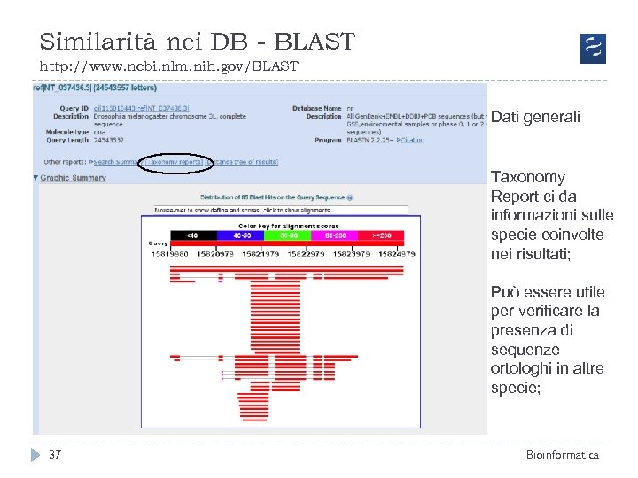 Similarità nei DB - BLAST http: //www. ncbi. nlm. nih. gov/BLAST Dati generali Taxonomy
