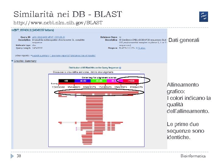 Similarità nei DB - BLAST http: //www. ncbi. nlm. nih. gov/BLAST Dati generali Allineamento