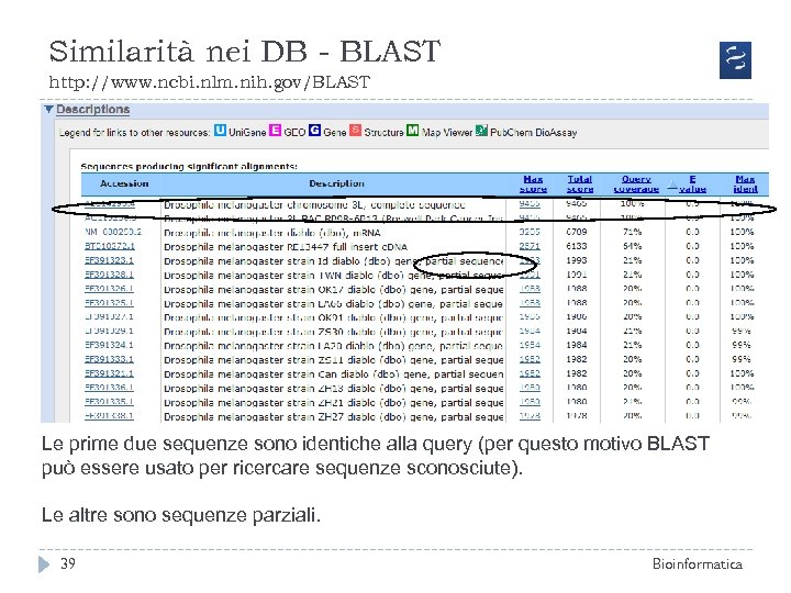 Similarità nei DB - BLAST http: //www. ncbi. nlm. nih. gov/BLAST Le prime due