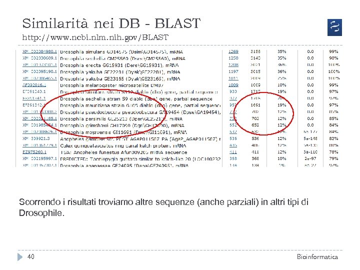 Similarità nei DB - BLAST http: //www. ncbi. nlm. nih. gov/BLAST Scorrendo i risultati