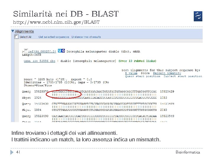 Similarità nei DB - BLAST http: //www. ncbi. nlm. nih. gov/BLAST Infine troviamo i