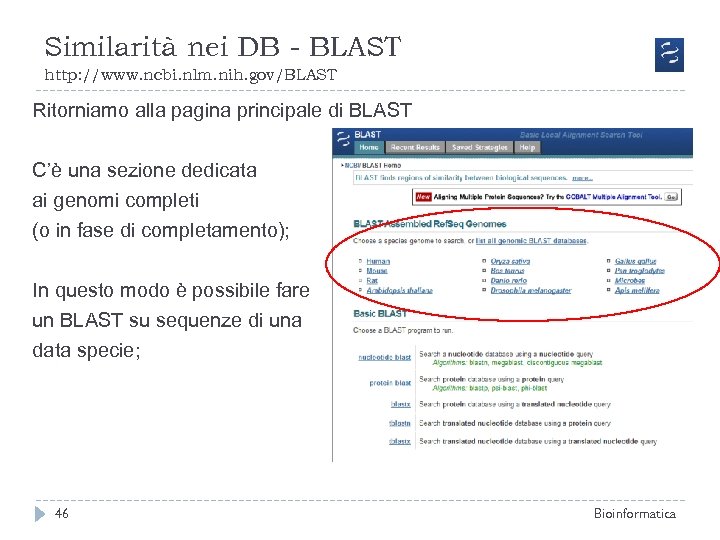 Similarità nei DB - BLAST http: //www. ncbi. nlm. nih. gov/BLAST Ritorniamo alla pagina