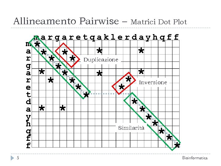 Allineamento Pairwise – Matrici Dot Plot margaretqaklerdayhqff m* a * * ** Duplicazione *